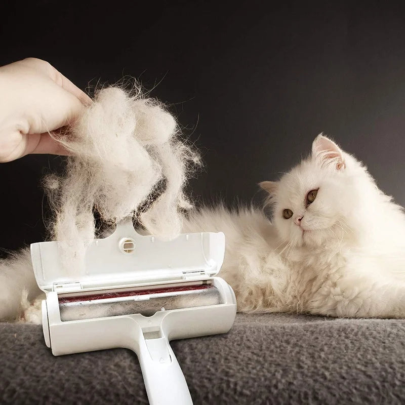 Tierhaare weg in 5 Sek